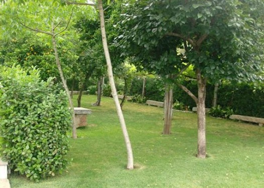 Quinta do Roque