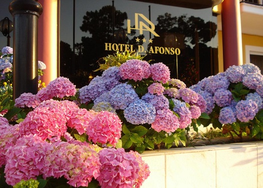 Hotel D. Afonso