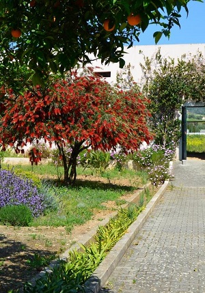 Quinta do Covanco